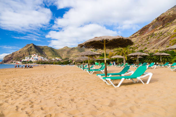 istock Palapa and chaise-longue on Playa de las Teresitas 655804544