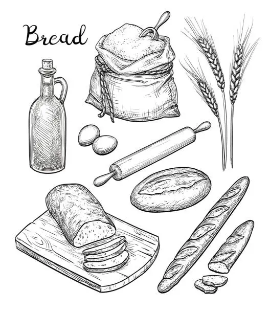 Vector illustration of Ingredients and bread set.