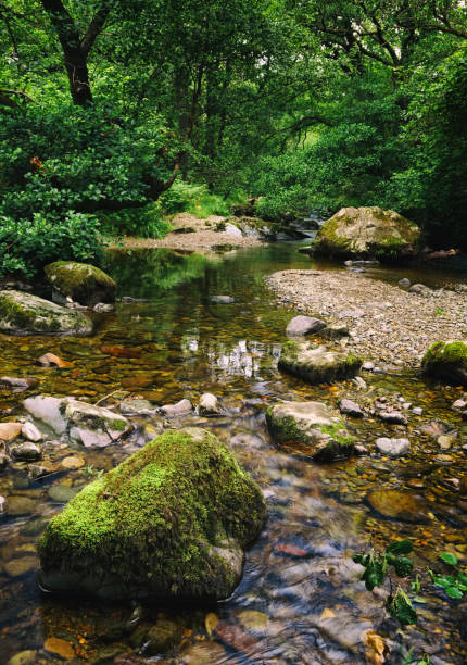 Aira Beck River In The English Lake District