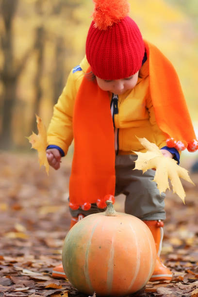 istock kid in autumn park with pumpkin 655819732