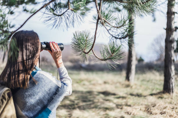 istock Hiker looking in binoculars enjoying view in green forrest 655835600
