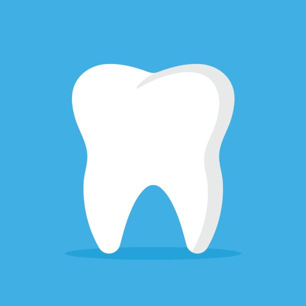 Vector tooth icon. Oral medicine, stomatology, dental medicine concepts. White tooth. Modern flat design graphic element. Vector illustration Vector tooth icon. Oral medicine, stomatology, dental medicine concepts. White tooth isolated on blue background. Modern flat design graphic element. Vector illustration tooth enamel stock illustrations