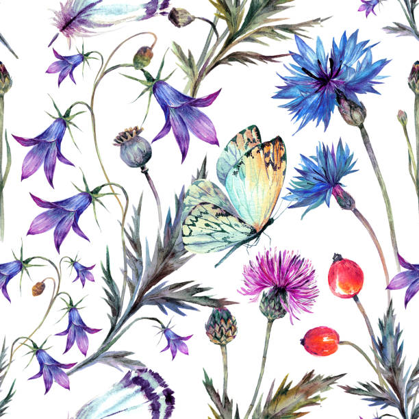 Vintage watercolor pattern of summer wildflowers. Watercolor seamless pattern of summer wildflowers. Drawn cornflower, thistle, bluebell, berries and butterfly. Vintage floral decoration. Country, shabby chic design. butterfly purple blue isolated stock illustrations