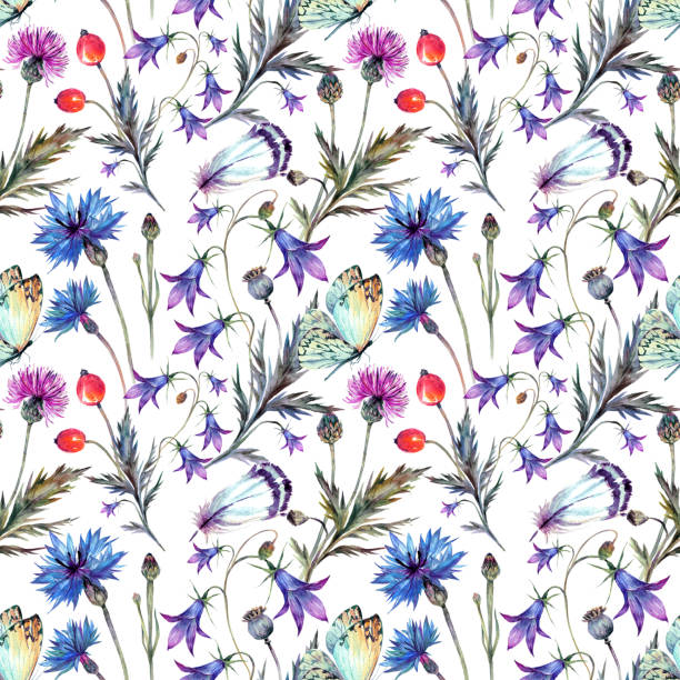 Vintage watercolor pattern of summer wildflowers. Watercolor seamless pattern of summer wildflowers. Drawn cornflower, thistle, bluebell, berries and butterfly. Vintage floral decoration. Country, shabby chic design. butterfly purple blue isolated stock illustrations