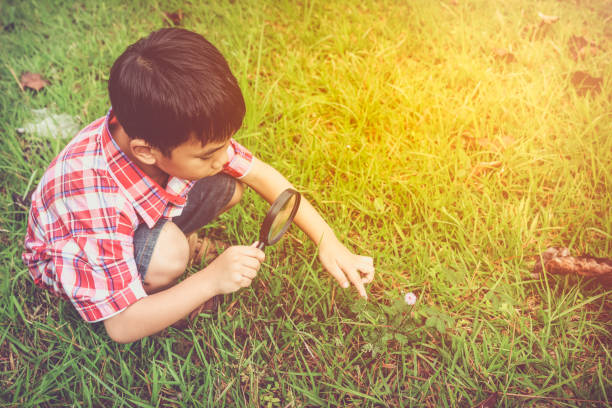 istock Young boy exploring nature with magnifying glass. 655847858