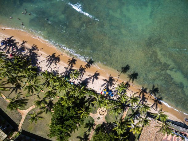 istock Top View of a Paradise Beach 655857864