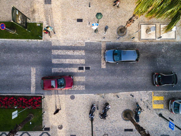 Top View of Street with Palm Trees in a Beach Top View of Street with Palm Trees in a Beach portuguese culture photos stock pictures, royalty-free photos & images