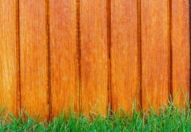 istock Lath wooden fence and green grass 655858082