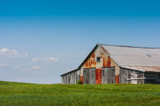 istock old farm with blue sky and green pasture 655860532