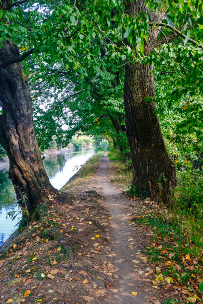istock Milan (Italy): path along Villoresi canal 655860972