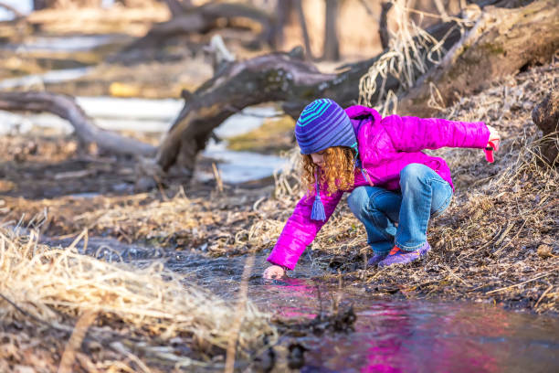 istock Girl Playing In Small Stream in Woods 655864930
