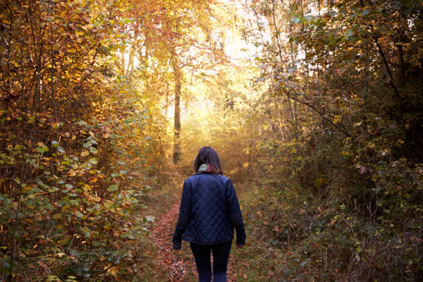 istock Woman Walking Along Path In Autumn Woodland 655867554