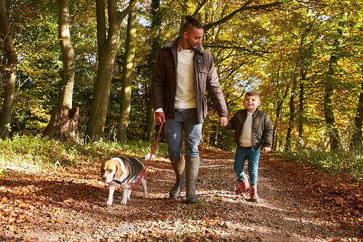Father And Son Walking Dog In Autumn Woodland Together