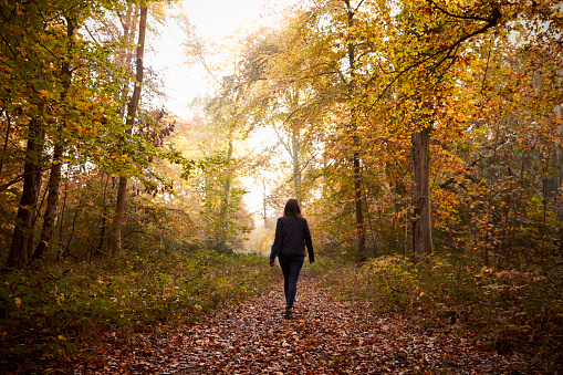Woman Walking Along Path In Autumn Woodland