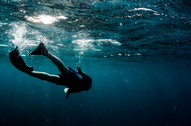 istock Young child swimming underwater in the ocean 655869364