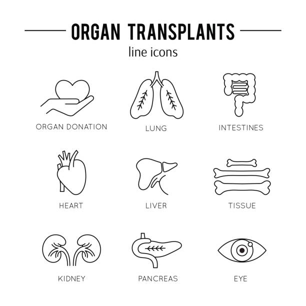 organ-transplantation-icon-set - transplantation stock-grafiken, -clipart, -cartoons und -symbole