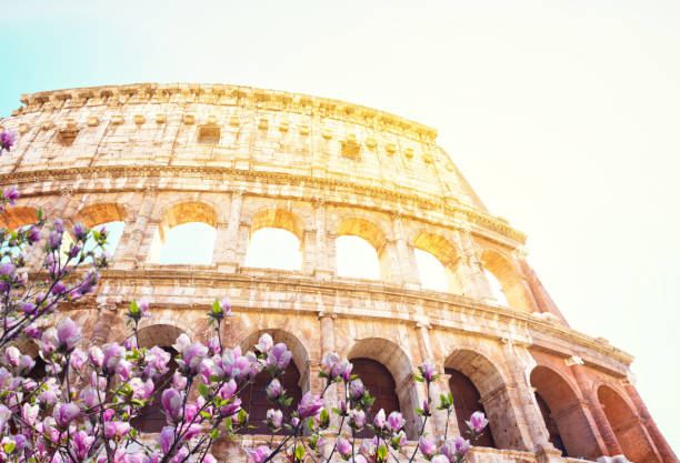 istock Colosseum at sunset in Rome, Italy 655873272
