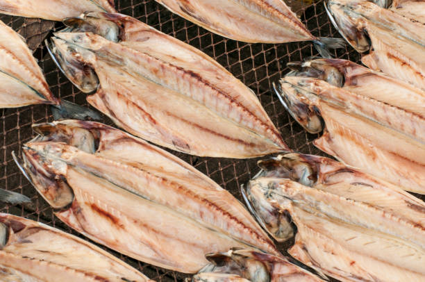 getrocknete horse mackerel - getrockneter fisch stock-fotos und bilder