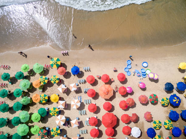 istock Top View of Umbrellas in a Beach 655887528