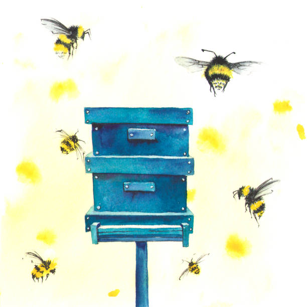as abelhas e a colmeia em aquarela - painted image paint art letterpress - fotografias e filmes do acervo