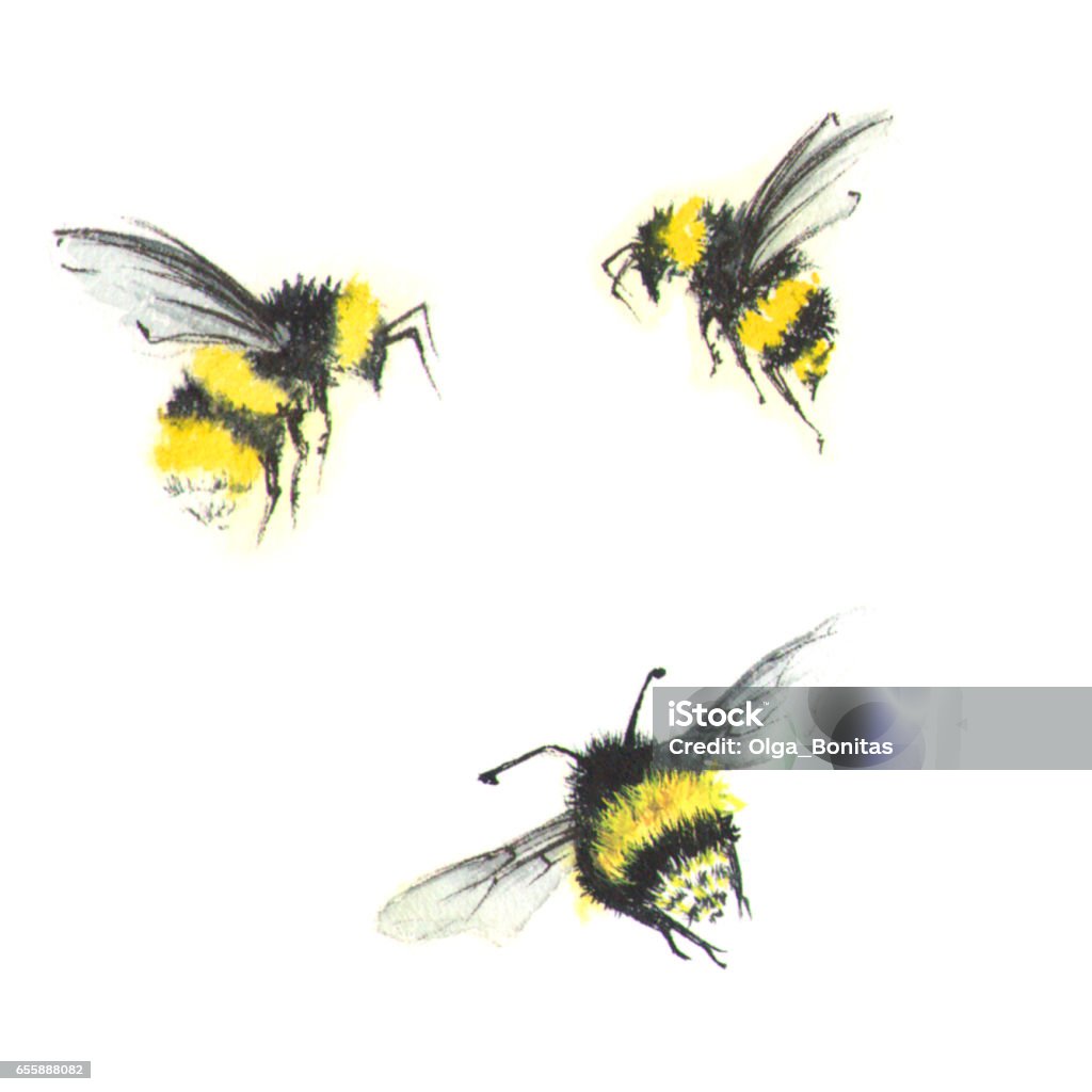 3 small watercolor bees 3 small watercolor bees isolated on white Bee Stock Photo