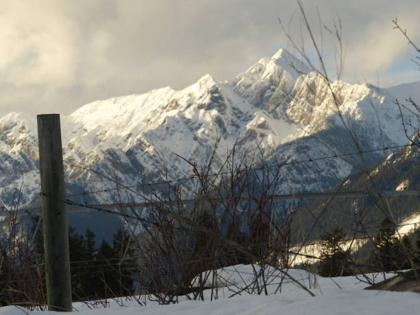 istock mountains in Golden,British Columbia 655909578