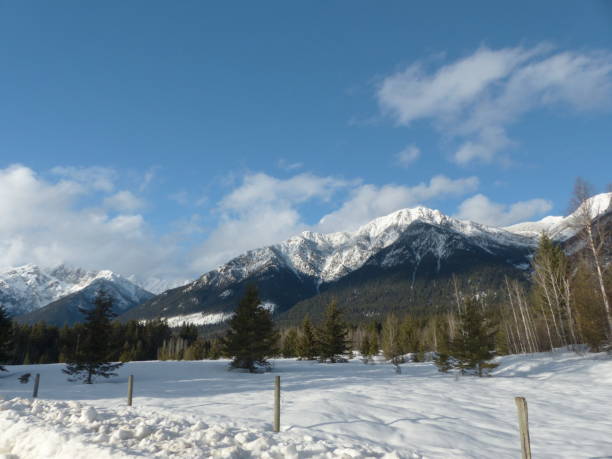 istock mountains in Golden,British Columbia 655909698