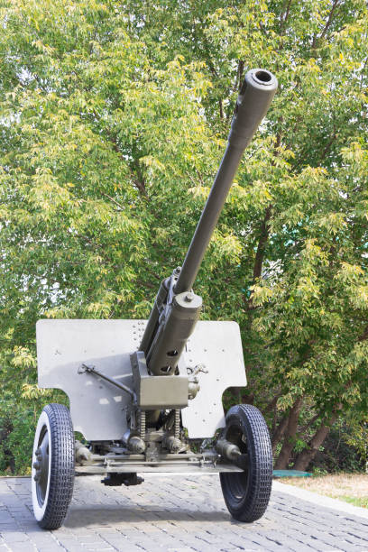 istock Artillery guns on a background of green trees 655910404