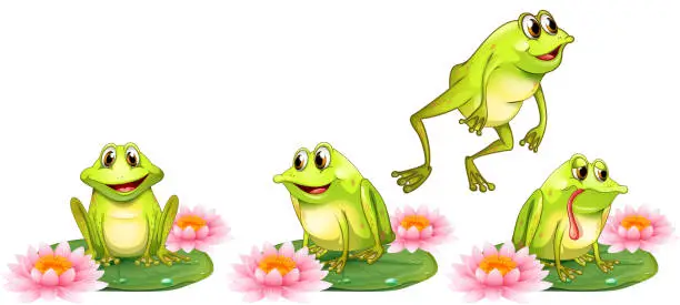 Vector illustration of Four green frogs on water lily