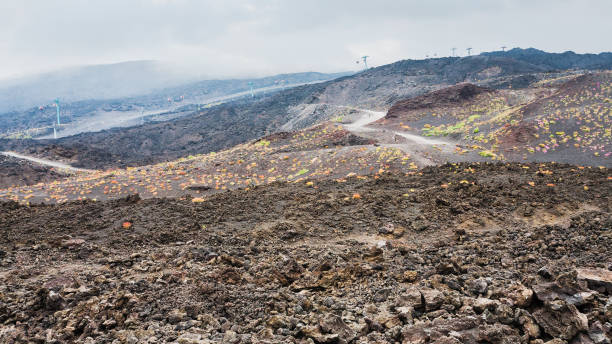 istock hardened lava field and cableway on Mount Etna 655917178