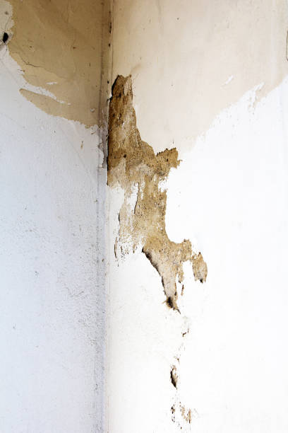 istock closeup of a cracked wall 655919460
