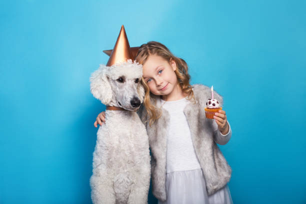 little beautiful girl with dog celebrate birthday. friendship. love. cake with candle. studio portrait over blue background - real people blue white friendship imagens e fotografias de stock
