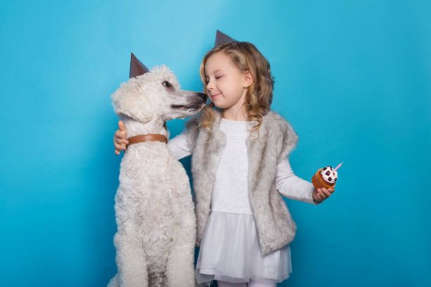 little beautiful girl with dog celebrate birthday. friendship. love. cake with candle. studio portrait over blue background - real people blue white friendship imagens e fotografias de stock