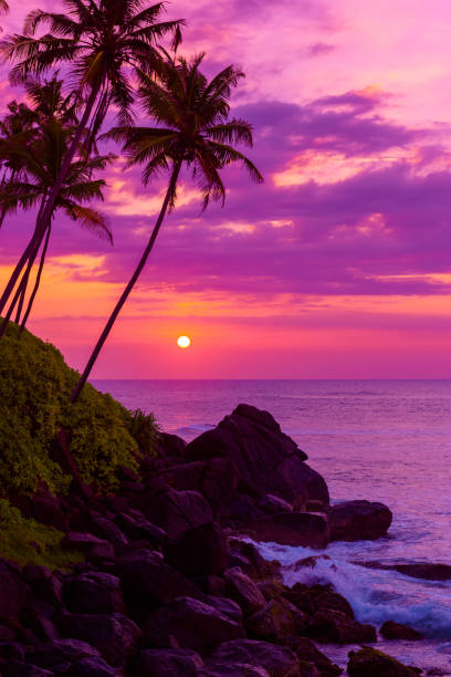 istock Tropical beach at sunset with palm trees silhouettes 655923612
