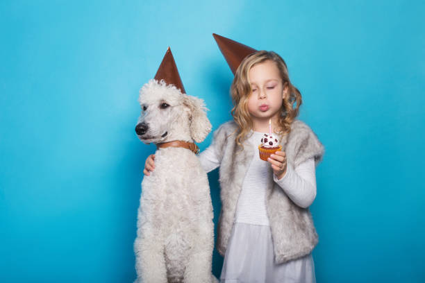 little beautiful girl with dog celebrate birthday. friendship. love. cake with candle. studio portrait over blue background - real people blue white friendship imagens e fotografias de stock