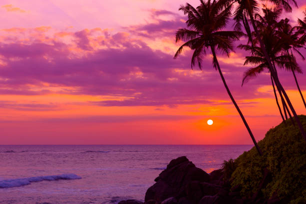istock Tropical beach at sunset with palm trees silhouettes 655927406