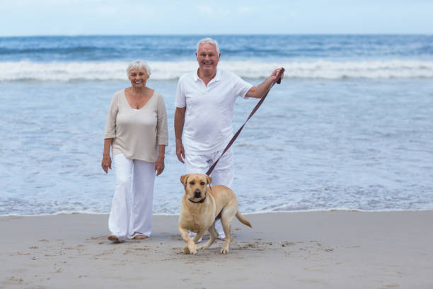 istock Senior couple walking on the beach with dog 655927794