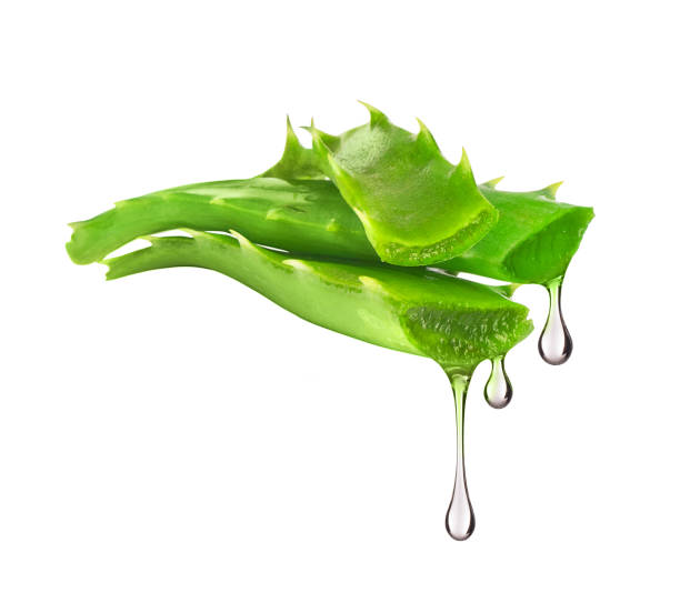 istock Essence from aloe vera plant drips from leaves, isolated on white background 655927864