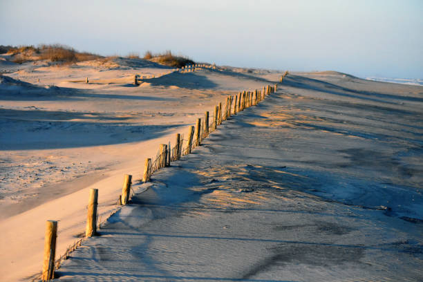 Assateague Island Dune Fence A dune fence traverses the sand at Assateauge Island National Seashore. eastern shore sand sand dune beach stock pictures, royalty-free photos & images