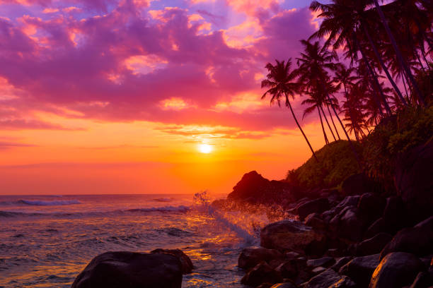 istock Tropical beach at sunset with palm trees silhouettes 655930942