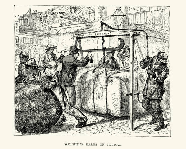 Vintage engraving of men Weighing bales of cotton, New Orleans 19th Century