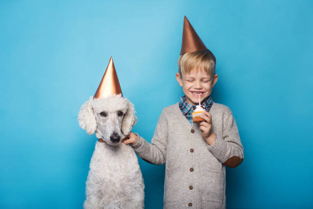 little handsome boy with dog celebrate birthday. friendship. love. cake with candle. studio portrait over blue background - real people blue white friendship imagens e fotografias de stock