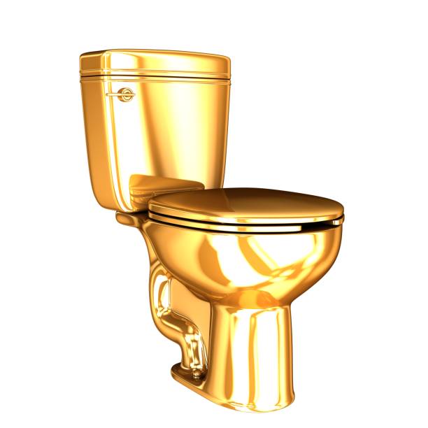 istock Golden WC toilet 655934924