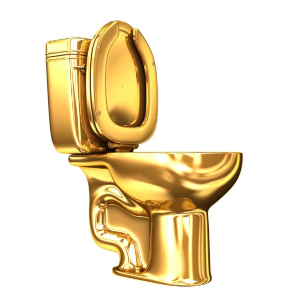 istock Golden WC toilet 655934946