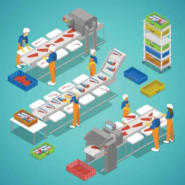 Vector illustration of Fish Farming Industry with Conveyor and Workers. Vector isometric illustration
