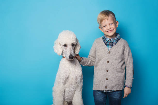fashionable boy with dog. friendship. pets. studio portrait over blue background - real people blue white friendship imagens e fotografias de stock