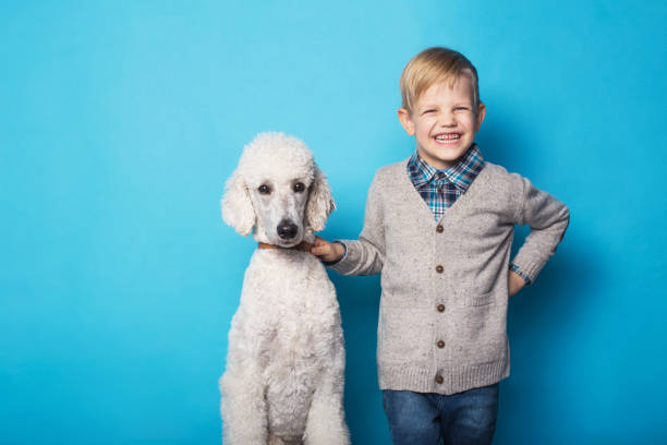 fashionable boy with dog. friendship. pets. studio portrait over blue background - real people blue white friendship imagens e fotografias de stock