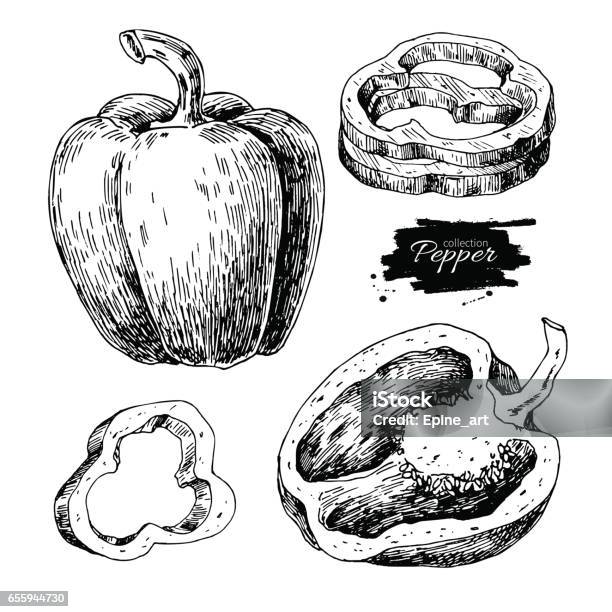 Vetores de Conjunto De Vetores De Mão Desenhada De Pimenta Vegetal Gravado Objeto Style Cheia Meia E Fatias e mais imagens de Pimentão