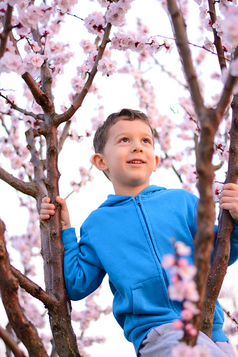 Little child enjoying on flowering tree.