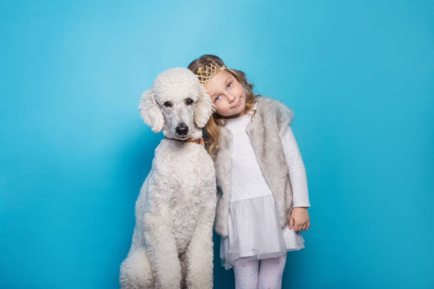 beautiful little princess with dog. friendship. pets. studio portrait over blue background - real people blue white friendship imagens e fotografias de stock